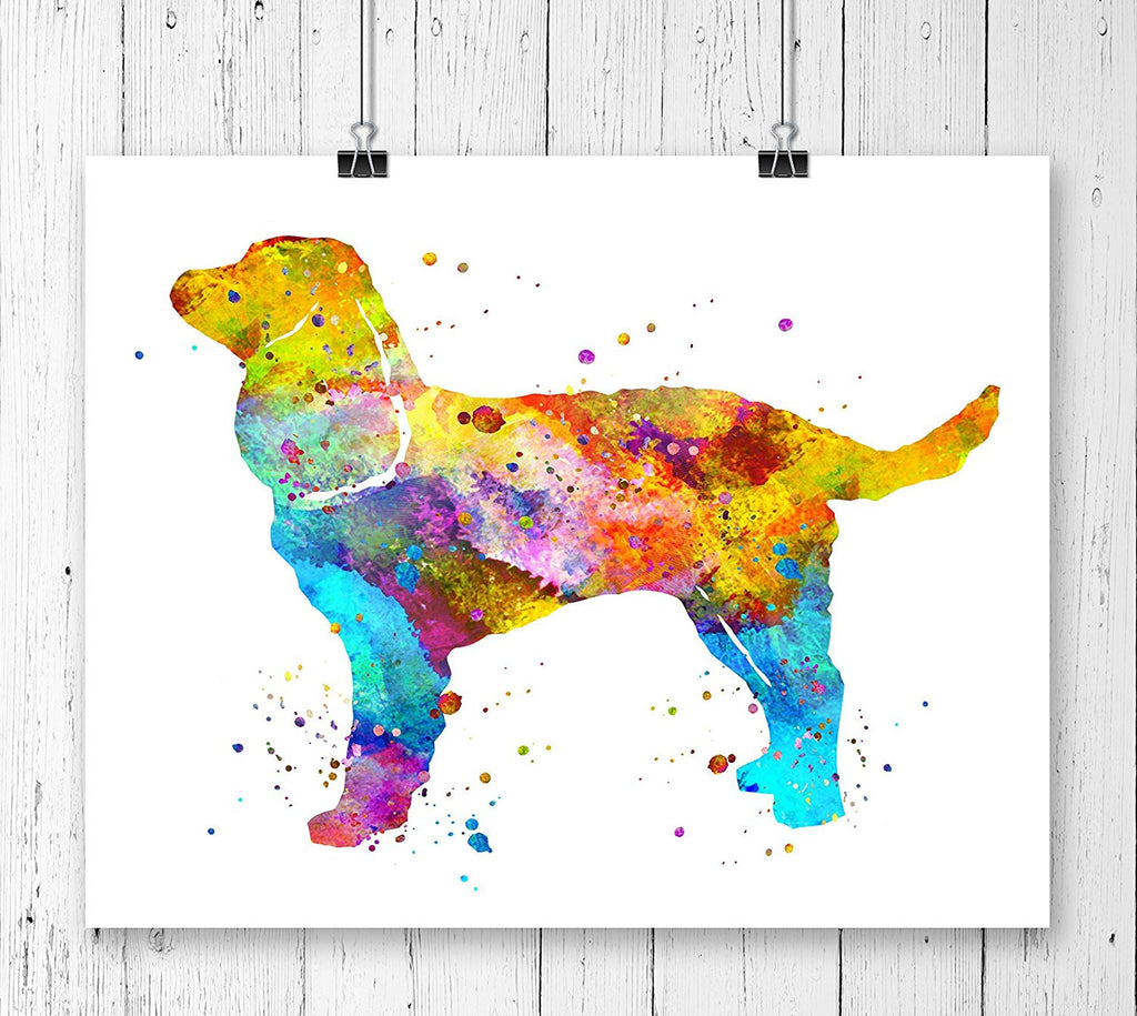 American Water Spaniel Watercolor Art Print - Unframed - Zuzi's