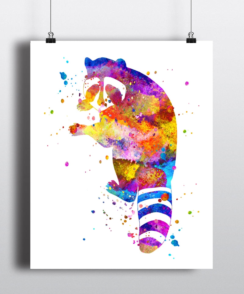 Raccoon Watercolor Art Print - Unframed - Zuzi's