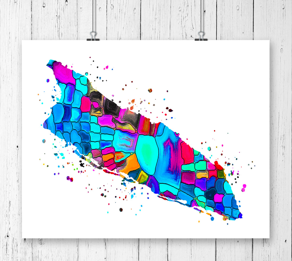 Aruba Map Watercolor Art Print - Unframed - Zuzi's