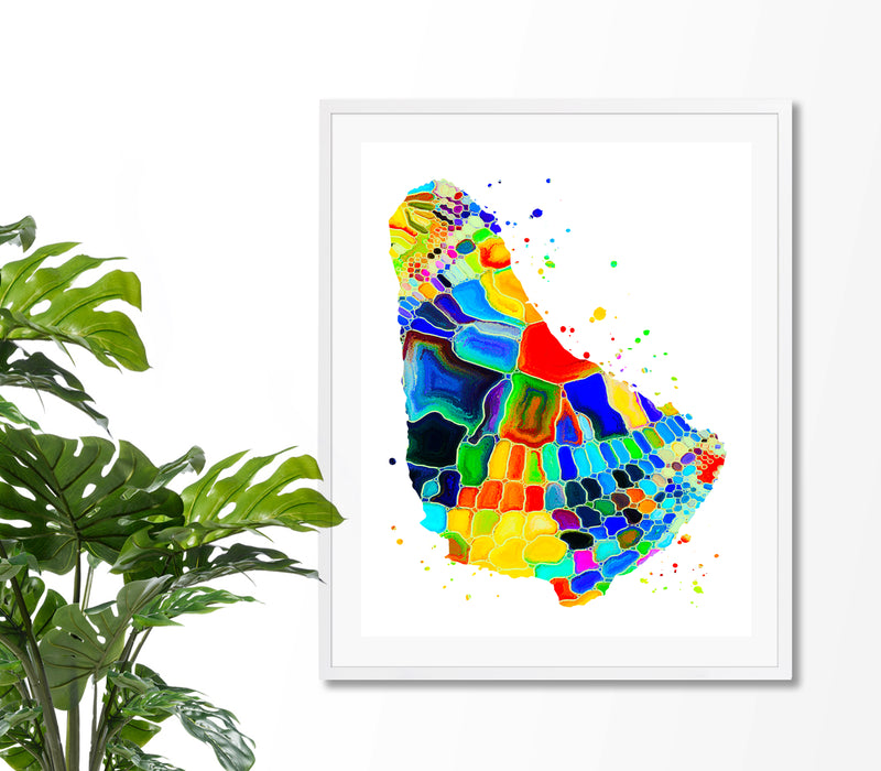 Barbados Map Art Print - Unframed - Zuzi's