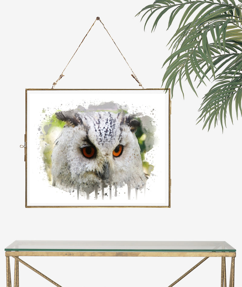 Owl Watercolor Art Print - Unframed - Zuzi's