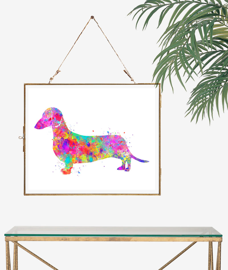 Dachsund Art Print - Unframed - Zuzi's