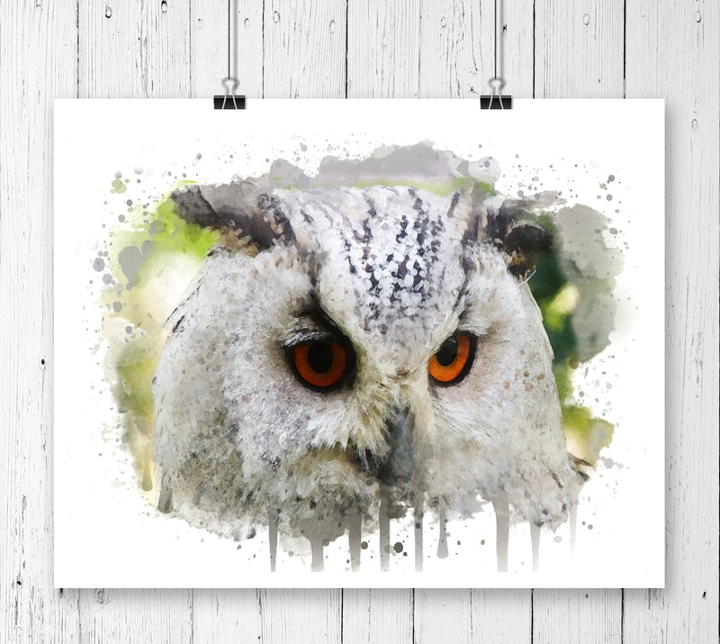 Owl Watercolor Art Print - Unframed - Zuzi's